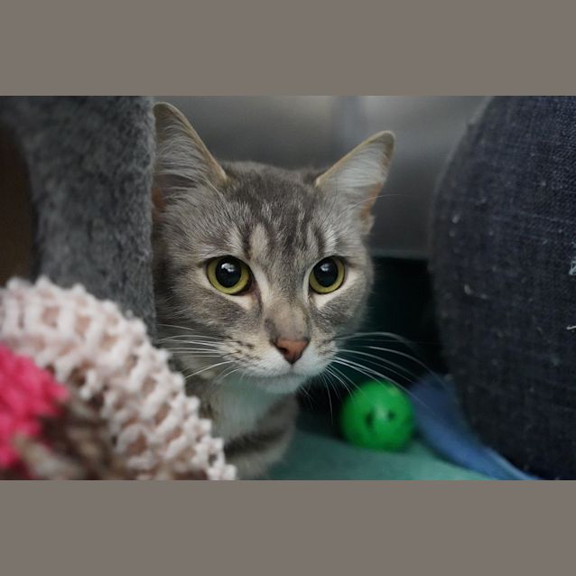 Photo of Annabel