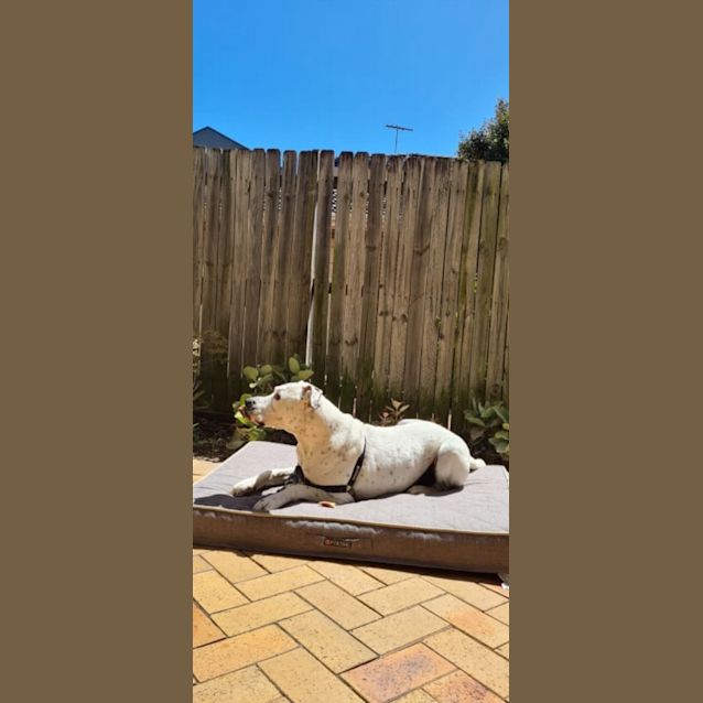 Photo of Flynn