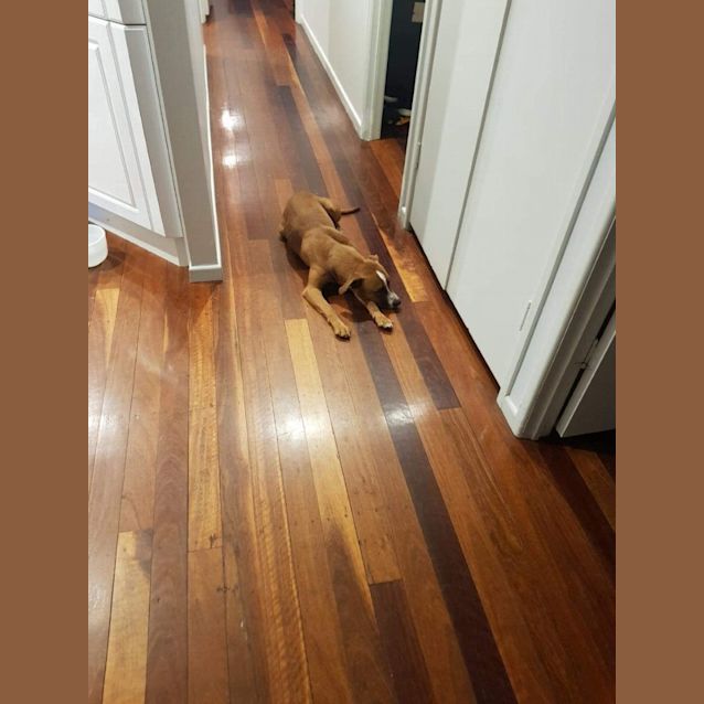 Photo of Heidi