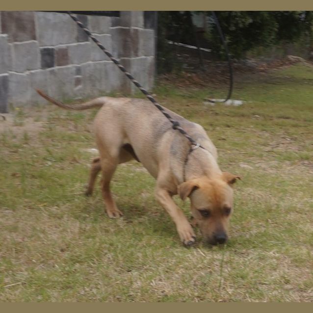 Photo of Arlo