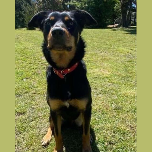 Photo of Hazel