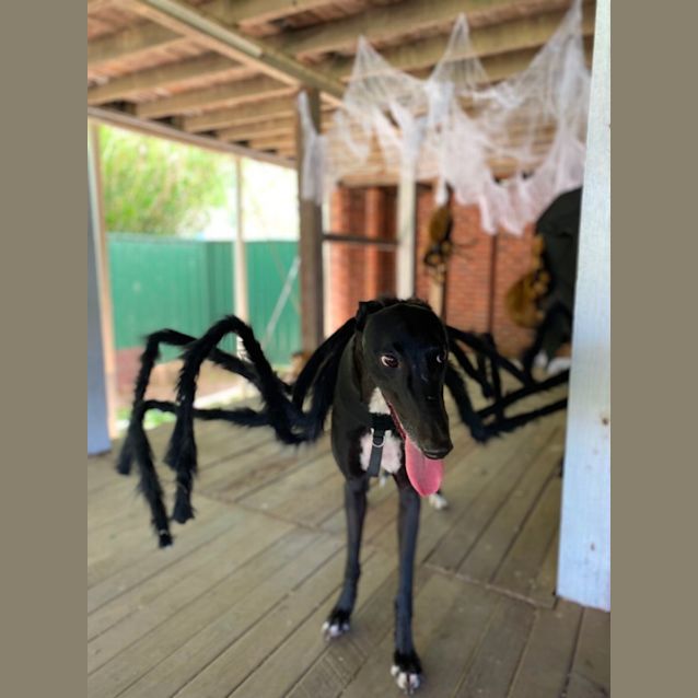 Photo of Little Lexi