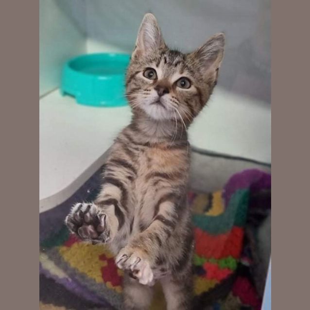 Photo of Boo