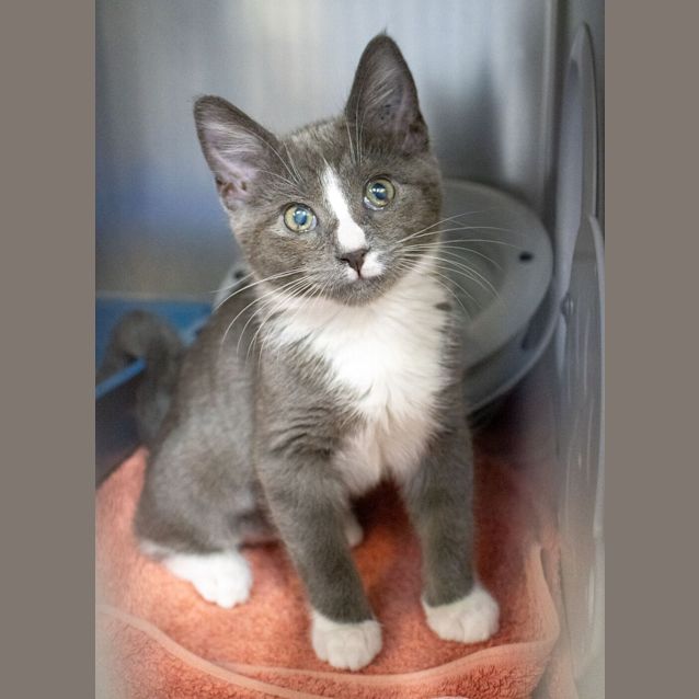 Photo of Guy