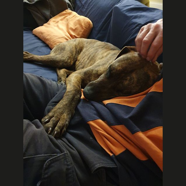 Photo of Mudbud