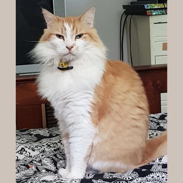 Photo of Ruben
