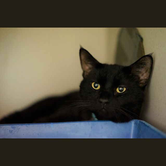 Photo of Monty