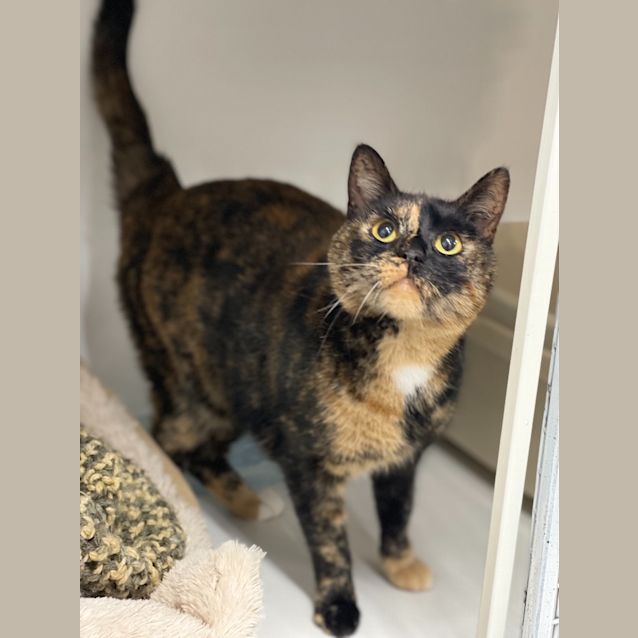 Photo of Motley
