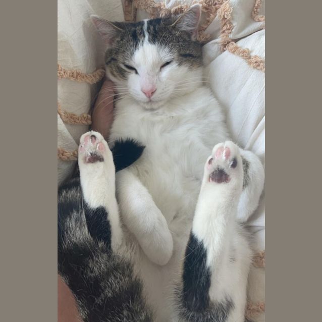 Photo of Tom And Jerry
