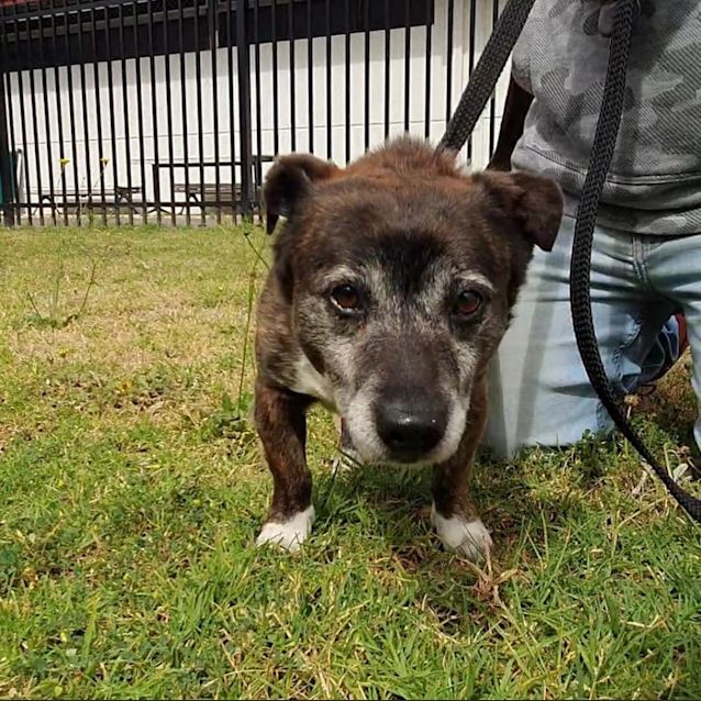 Photo of Buster Dl2748