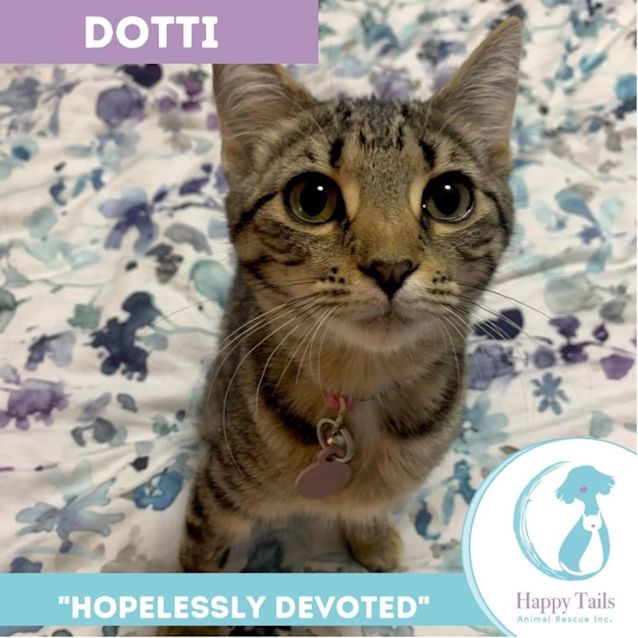 Photo of Dotti