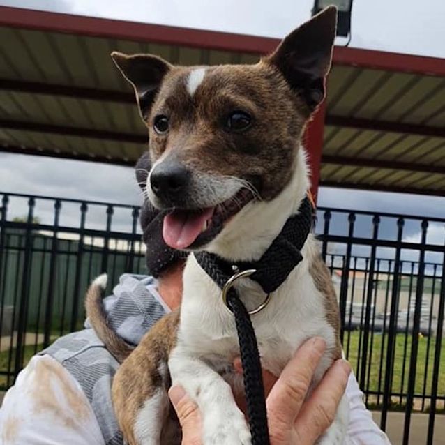 Photo of Ninny Dl2747