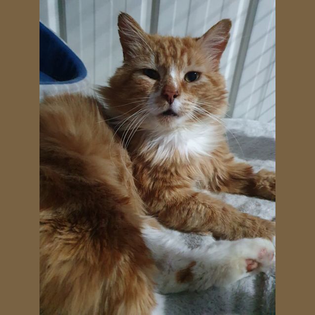 Photo of Clubber