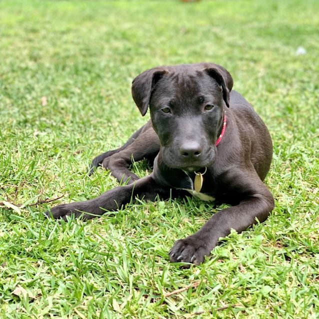 Photo of Artemis