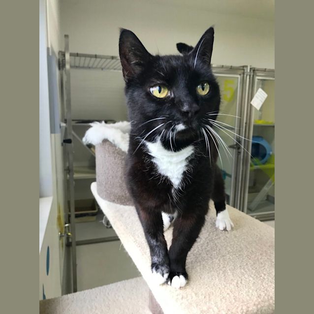 Photo of Missy F01860