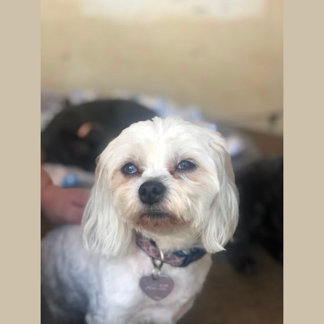 Photo of Bella & Molly