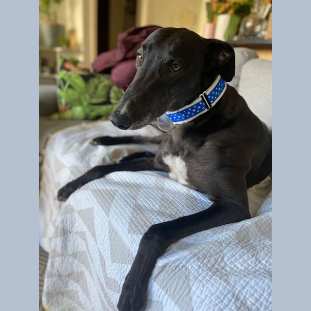 Photo of Frank Melbourne