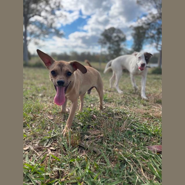 Photo of Waylon 