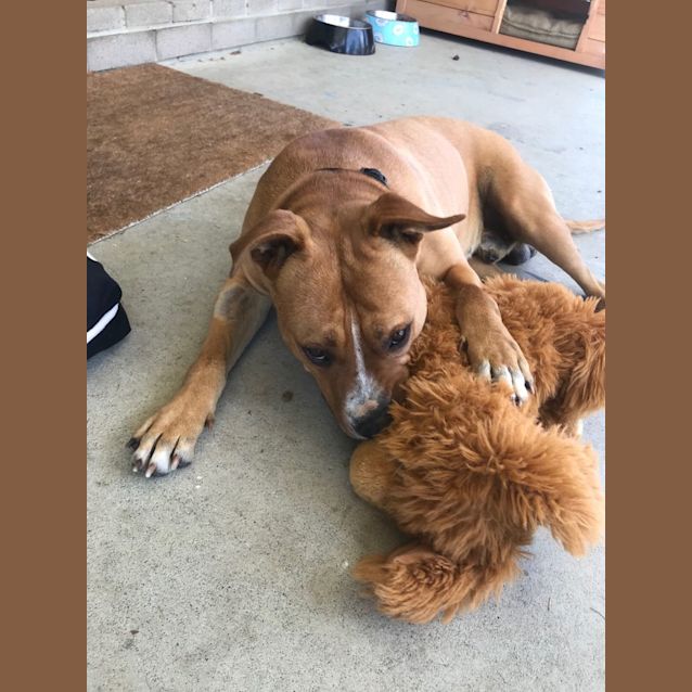 Photo of Ernie