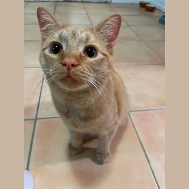 Photo of Crunch