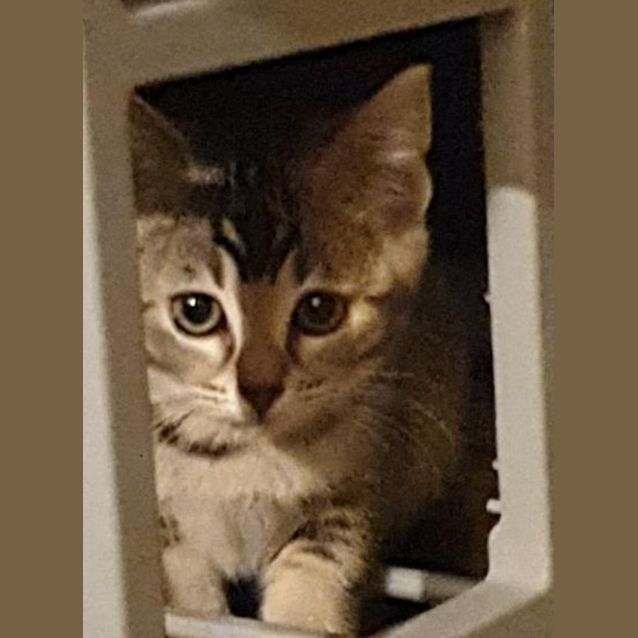 Photo of Evie