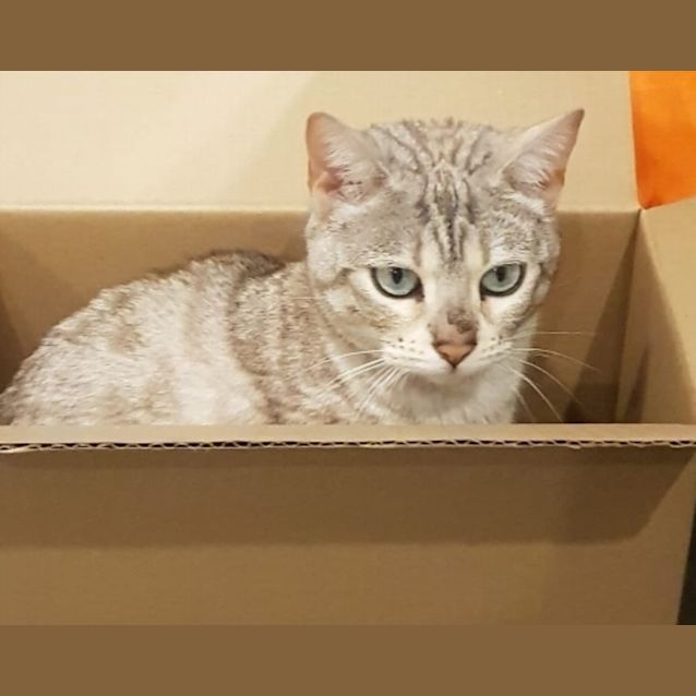 Photo of Jewel
