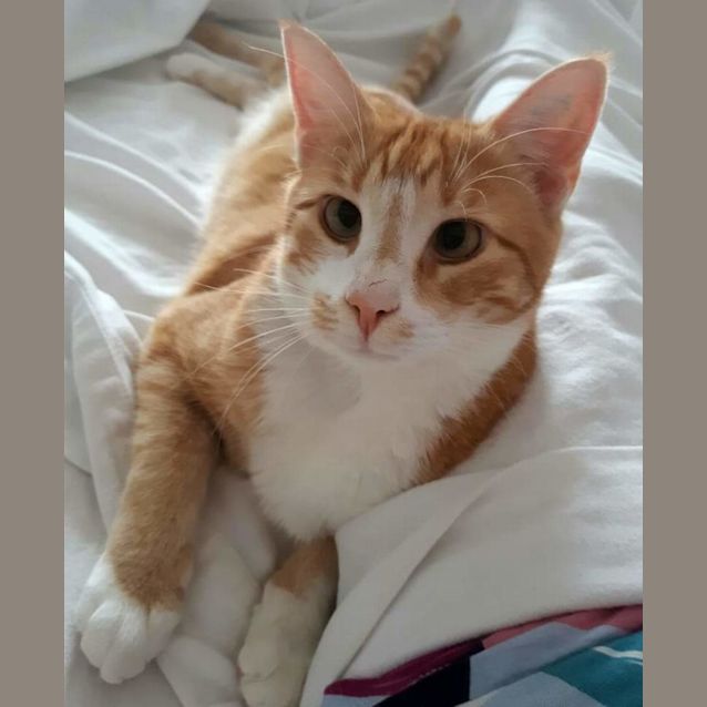 Photo of Franky