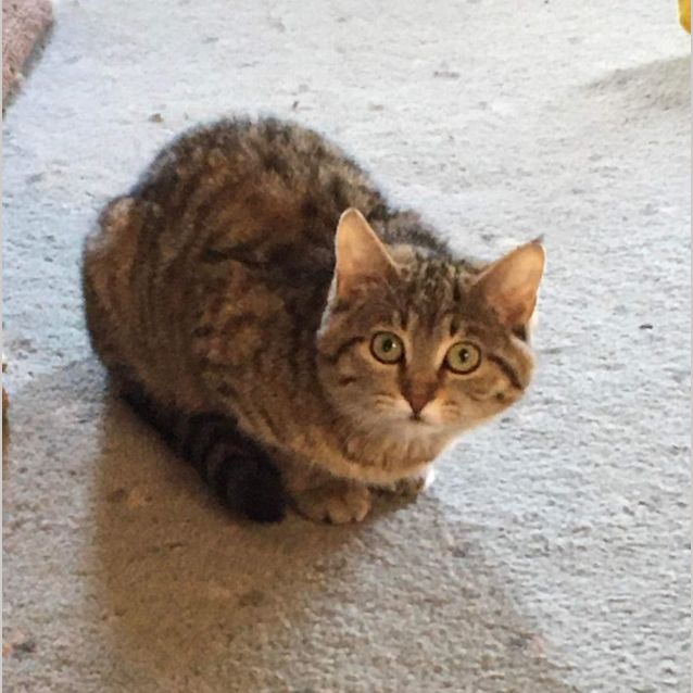 Photo of Sophie