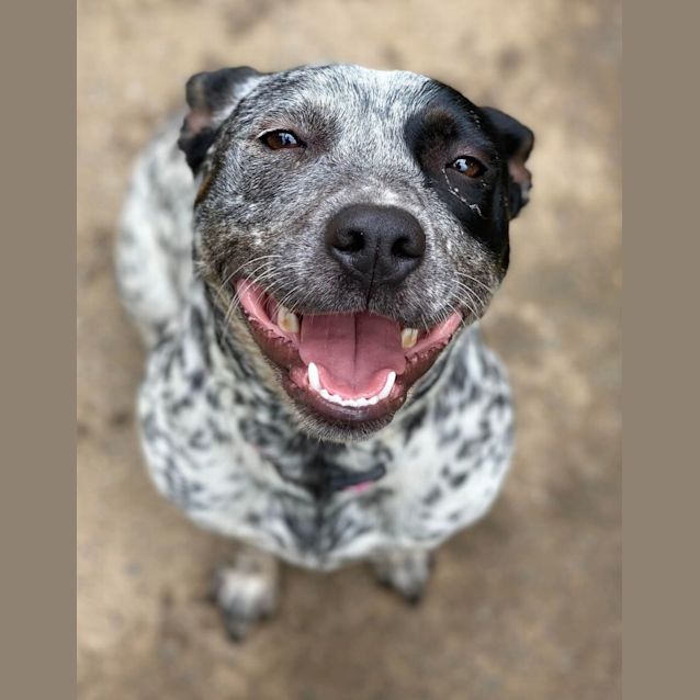 Photo of Little Lucy