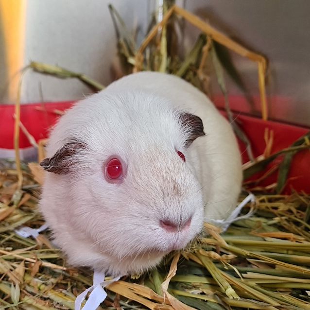 Photo of Maria (Bonded With Miguel)