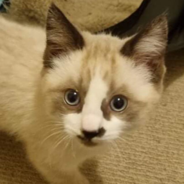 Photo of Terry