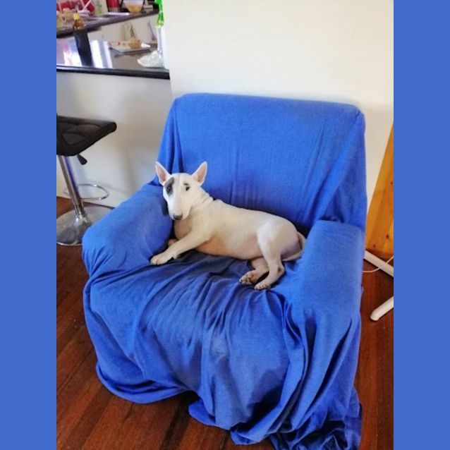 Photo of Harley Rose