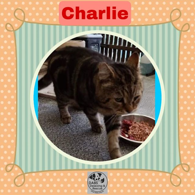 Photo of Charlie
