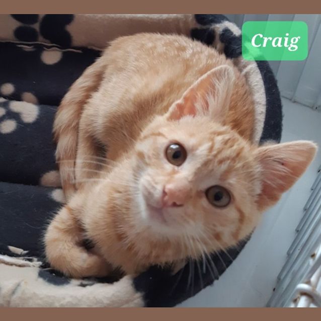 Photo of Craig