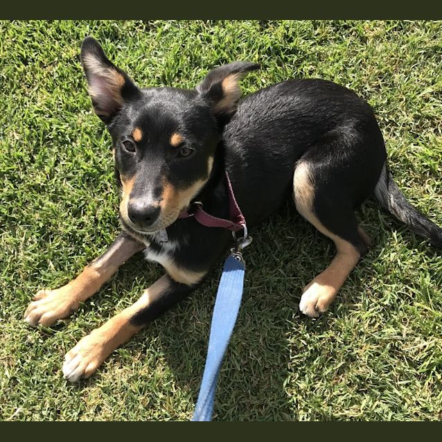 Photo of Esky