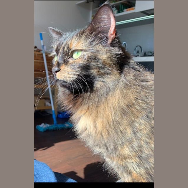 Photo of Storm 