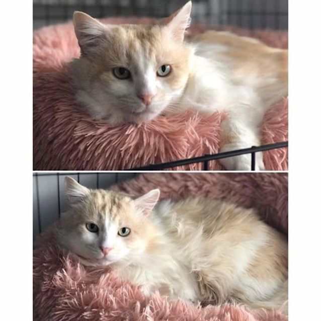 Photo of 5787   Boris