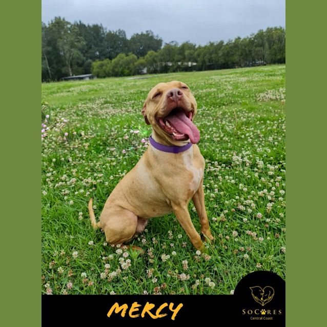 Photo of Mercy