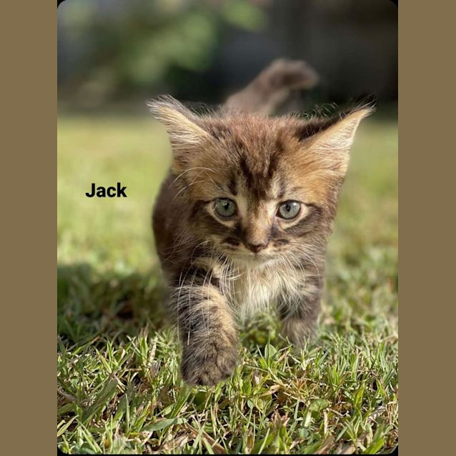 Photo of Jack