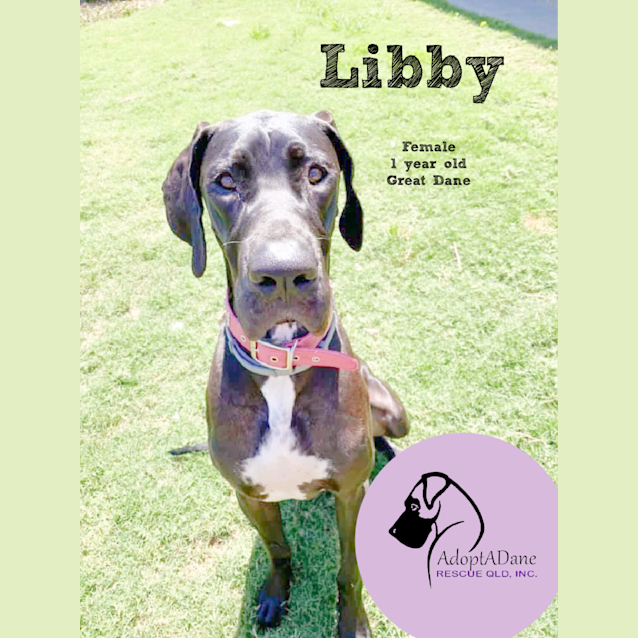 Photo of Libby