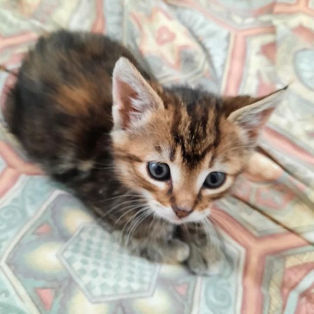 Photo of Lila