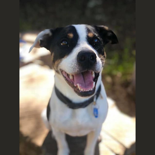Photo of Chappy