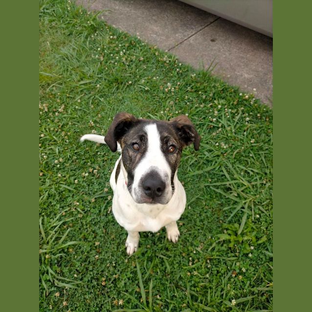 Photo of Athena
