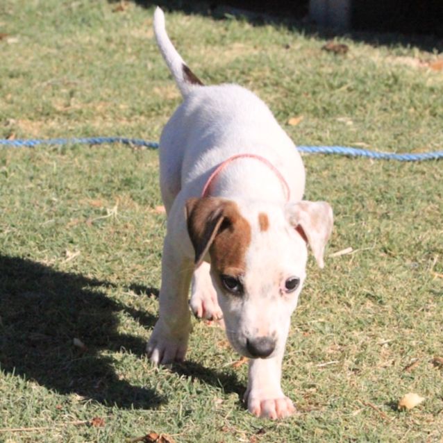 Photo of Maisy