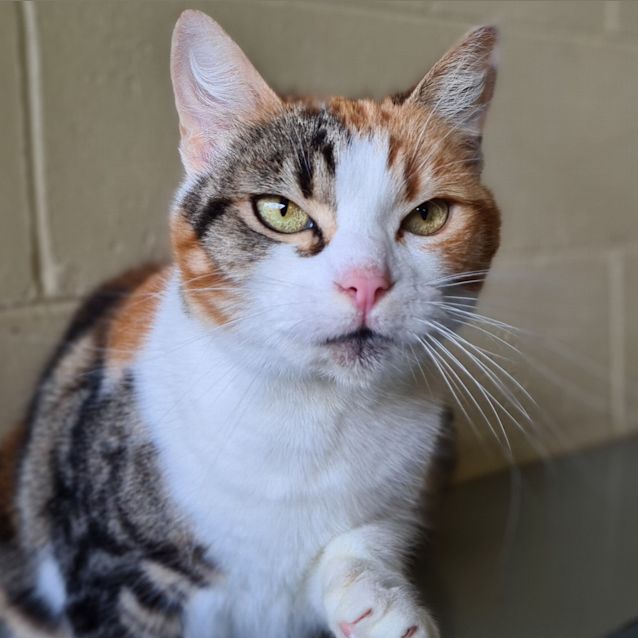 Photo of Missy