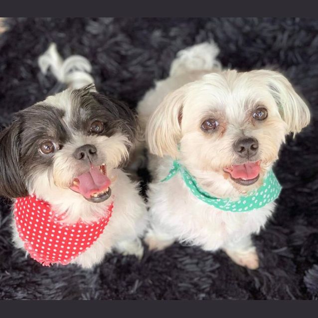 Photo of Tia & Millie