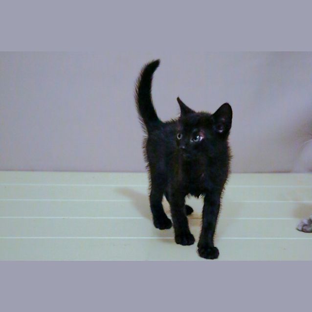 Photo of Charlie Brown