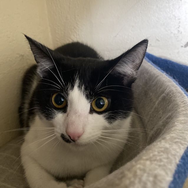 Photo of Jasper