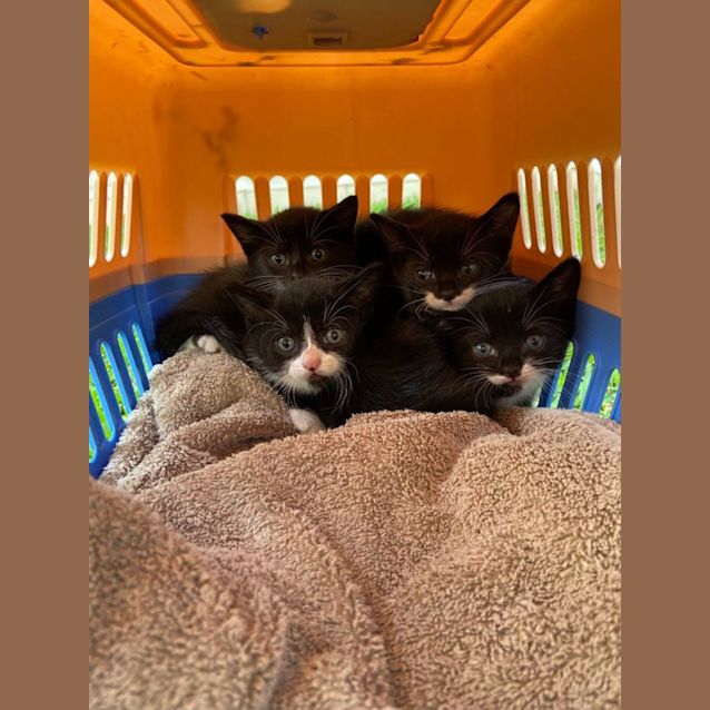 Photo of Emma & Sabrina