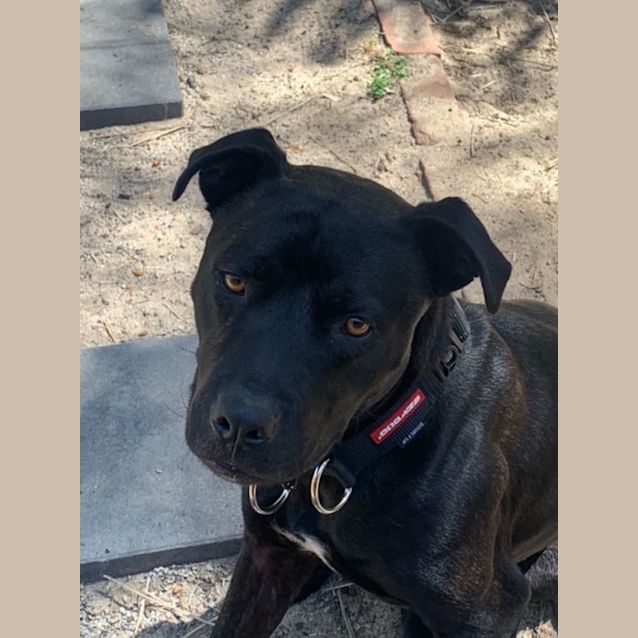 Photo of Betty Dl2741